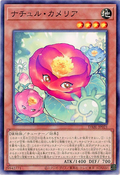 ナチュル・カメリア【DABL-JP021】
