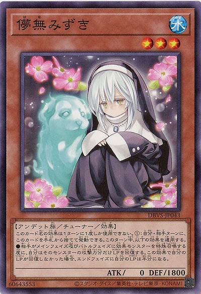 儚無みずき 【DBVS-JP043】