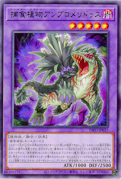 捕食植物アンブロメリドゥス【DIFO-JP037R】