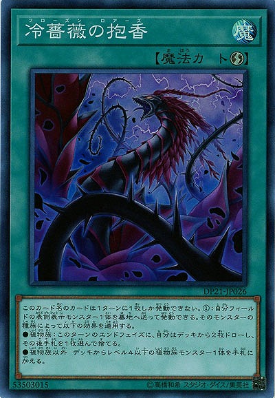 冷薔薇の抱香【DP21-JP026SR】