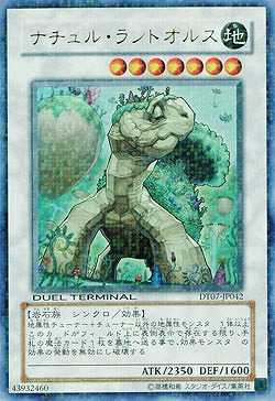 【キズ有り特価 A】ナチュル・ランドオルス【DT07-JP042UR】