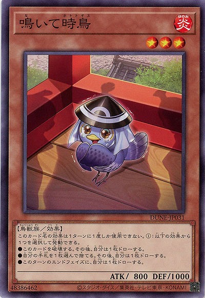 鳴いて時鳥【DUNE-JP031NR】