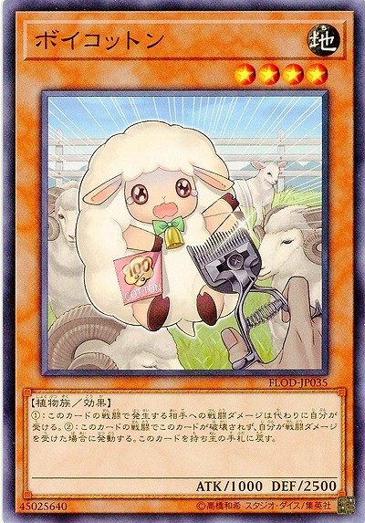ボイコットン 【FLOD-JP035NR】