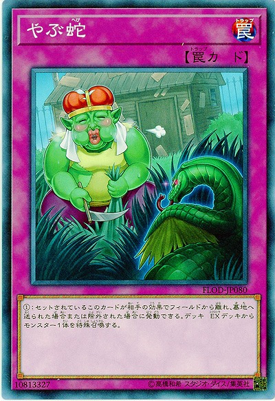 やぶ蛇 【FLOD-JP080NR】