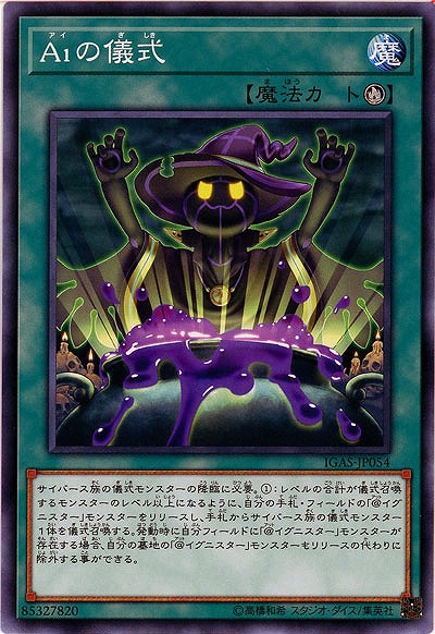 Aiの儀式 【IGAS-JP054】