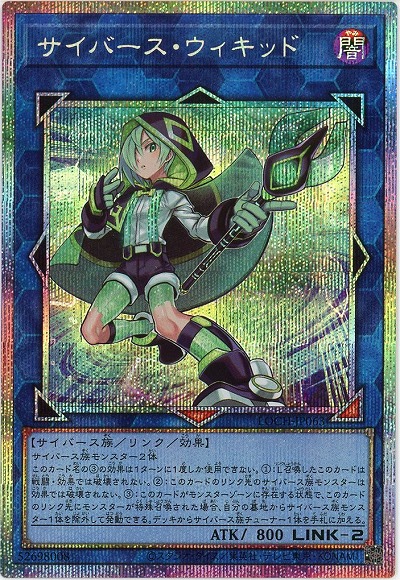 【キズ有り特価 A】サイバース・ウィキッド(PSE)【LOCH-JP063PSE】