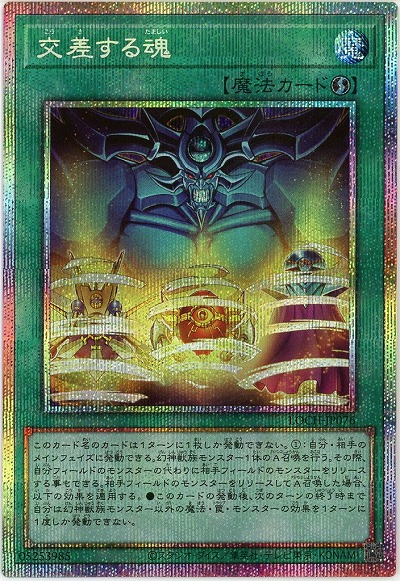 交差する魂(PSE)【LOCH-JP076PSE】