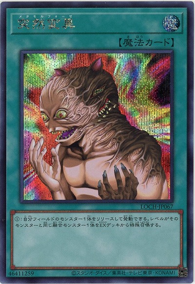 突然変異(SE)【LOCH-JP067SE】