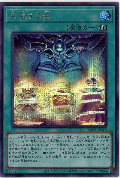 交差する魂(SE) 【LOCH-JP076SE】