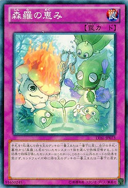 森羅の恵み 【LVAL-JP073】