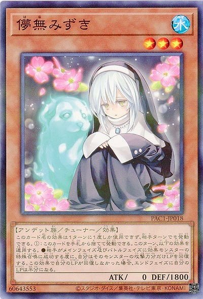 儚無みずき 【PAC1-JP018】