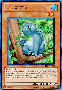 ラッコアラ 【PR01-JP002】