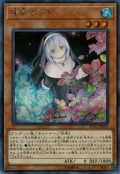 【キズ有り特価 A】儚無みずき(SE)【RC03-JP018SE】