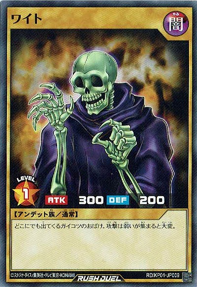 ワイト 【RD-KP01-JP009】