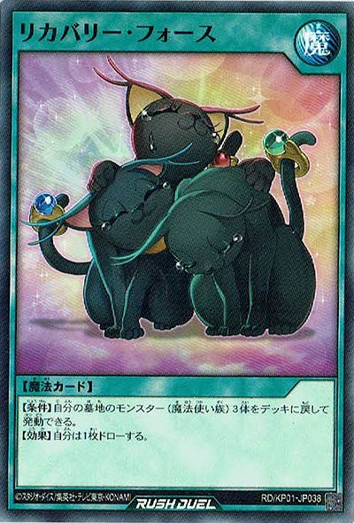 リカバリー・フォース 【RD-KP01-JP038】