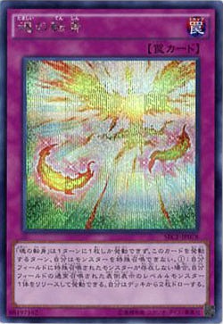 魂の転身【SECE-JP078SE】