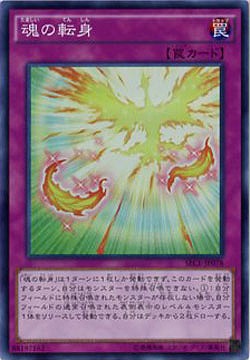 魂の転身【SECE-JP078SR】