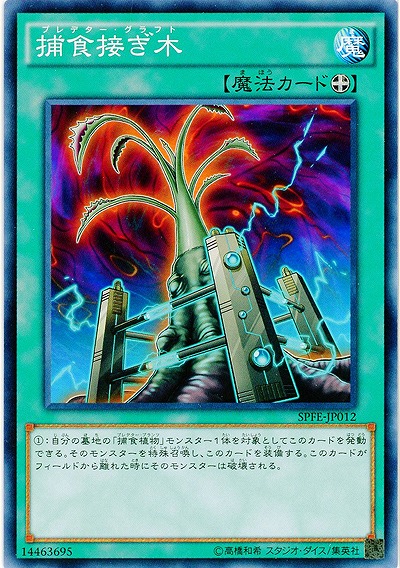捕食接ぎ木 【SPFE-JP012】