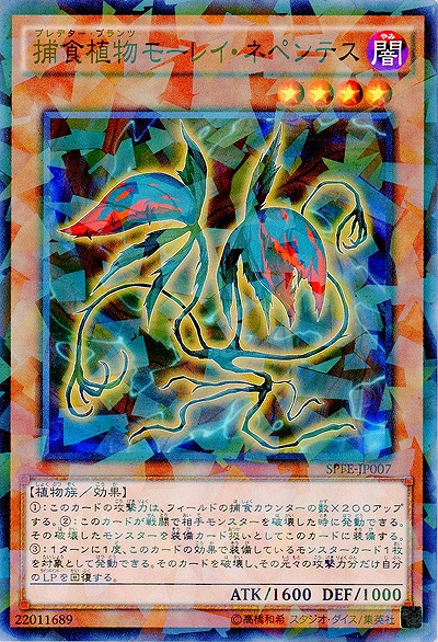 捕食植物モーレイ・ネペンテス 【SPFE-JP007PA】