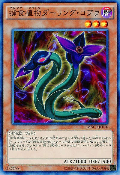 捕食植物ダーリング・コブラ 【MACR-JP010】