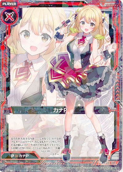 カナP 【EX26-P35-012】