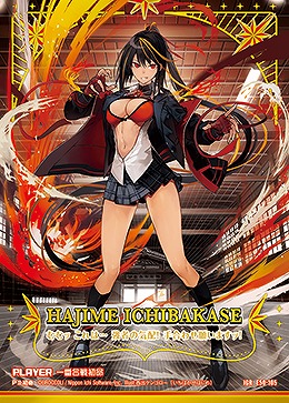 ※秋葉原店併用商品 【キズ有り特価A】 一番合戦初命(IGR) 【E50-105IGR】