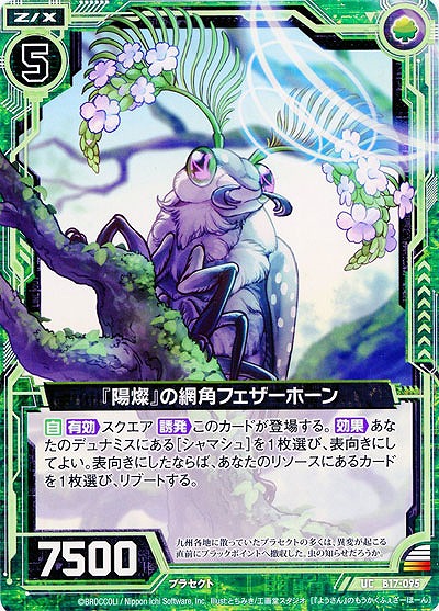 『陽燦』の網角フェザーホーン 【ZXB17-095UC】