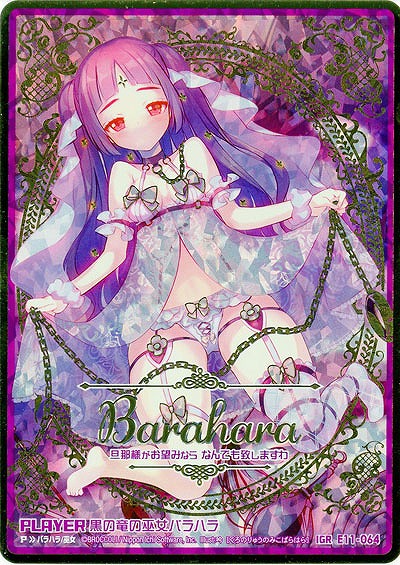 ※秋葉原店併用商品 【キズ有り特価A】 黒の竜の巫女バラハラ 【E11-064IGR】