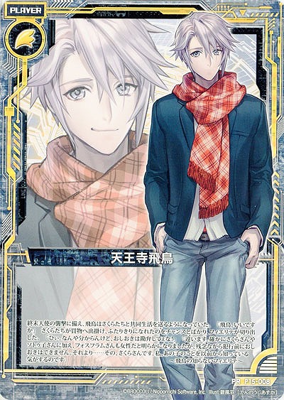 天王寺飛鳥 【ZXP15-008PR】