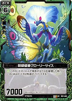 朝顔蟷螂グローリーサイス 【ZXB01-093U】