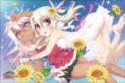 Fate/kaleid liner プリズマ☆イリヤ ツヴァイ ヘルツ! 『イリヤ&クロ』 ブシロード ラバーマットコレクションエクストラ vol.37