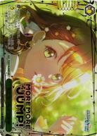 ※秋葉原店併用商品 気になっちゃう背中(EXSEC) 【PJS/S125-056EX SEC】