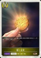 輝く金貨 【PR/376】