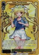 【キズ有り特価A】あの日出会った絆 フェイト(SP) 【NTA/WE48-04SP】