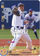※秋葉原店併用商品 濱口　遥大(SP)【BP03/DB03SP】