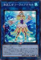 海晶乙女コーラルアネモネ 【LVDS-JPB06SR】