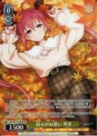 ※秋葉原店併用商品 揺るがぬ想い 琴里(SP) 【DAL/W131-001SPSP】