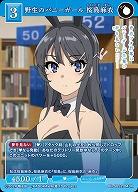 野生のバニーガール 桜島麻衣 【BB-SBS2-043R】