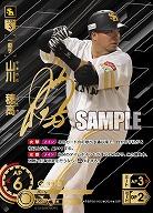 山川　穂高(福岡ソフトバンクホークス)(SSP) 【PBP03/H02SSP】