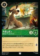 ナポレオン(ホイル) 【ROJ/096/204UCH】