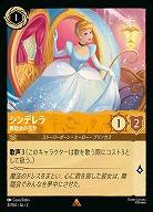 ※秋葉原店併用商品　シンデレラ(ホイル) 【ROTF/3/204RH】