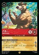 バルー(ホイル) 【AI/142/204LGH】