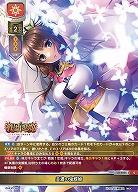 美濃の鬼蝶姫 【LO-6525C】