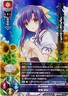 【キズ有り特価A】年上の従姉安場 琥珀 【LO-3265SR】