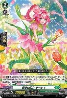 愛幸の乙女 ラーレィ 【DZ-BT08/100C】