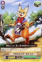 【倉庫在庫】ブラッシング・キトゥン 【G-CHB02-074C】