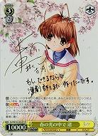 春の光の中で 渚(SP) 【Kcl/W102/002SP】