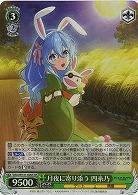 月夜に寄り添う 四糸乃(ホイル) 【DAL/W131-020SR】