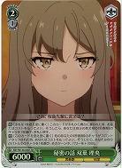 秘密の話 双葉 理央(ホイル) 【SBY/W136-040SR】