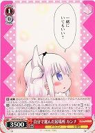 自分で選んだ居場所 カンナ 【KMD/W96/067C】